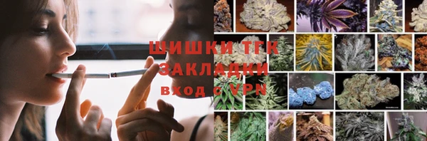 соль ск Пересвет