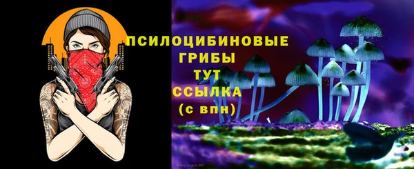 spice Пестово
